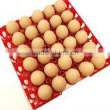 EGG Container Holder Box Refrigerator Storage Tray for 30pcs Eggs HDPE thumbnail-3