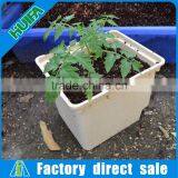 Factory Wholesale Dutch Bucket for Tomato Hydroponic System thumbnail-5