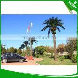 Date Palm Canariensis Tree Street Light Lamps Streetlight