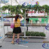 380 Seedling Dish Tool Car thumbnail-4