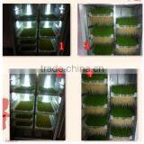 Automatidc Hydroponic Seeds Sprout Fodder Growing Machine thumbnail-5