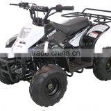 50cc Atv for Sale thumbnail-1