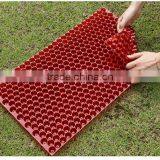 434cell Hydroponics Rice Breeding Tray, Barley Planting Tray, 55g thumbnail-5