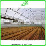 Hot Dipped Galvanzied Arch Pipes Greenhouse thumbnail-3