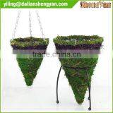 Hanging Moss Planter , Moss Flower Pot , Moss Brackets thumbnail-1