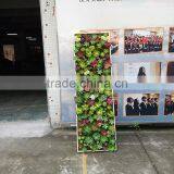 Indoor Decoration Artificial Mini Succulent Plants Wall thumbnail-1