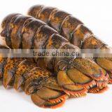 Lobster Tails thumbnail-3