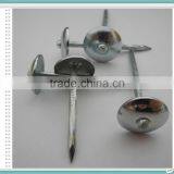 15 degree galvanized umbrella head roofing nail with rubber washer