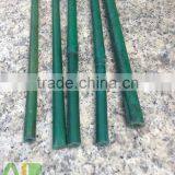 Green Bamboo Dried,round Flower Sticks for Sale thumbnail-5