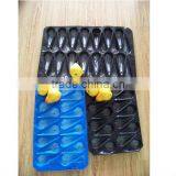 Disposable PP Apple Tray thumbnail-6