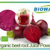 Organic Beet Root Powder thumbnail-1