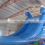 Cheap Price Beautiful Inflatable PVC Water Slide WS058