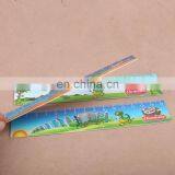 Factory Manufacture High Quality Promotional Gift pp Plastic Ruler thumbnail-4