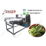 Vegetable Root Cutting Machine thumbnail-3