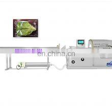 Hot Sell SY-680 High Good Quality Automatic Multifunction Vegetable Packing Machine thumbnail-2