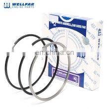 Wellfar Machinery Engine Parts DT466E DT530E Engine Piston Ring 1830723C92 1830724C92