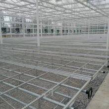 Solar Greenhouse Span Large Space Large Configuration Mobile Seedling Bed thumbnail-1