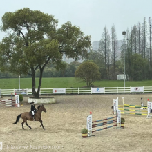 Successful Cases of Some Competitions in 2024 thumbnail-5