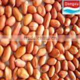 small red skin peanut kernels 50/60