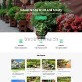Affordable Website Development