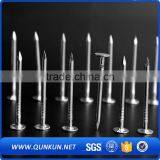 China Smooth Common Roofing Felt Nails thumbnail-2