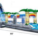 2015 Commercial Grade Inflatable Tropical Water Slide For Adult thumbnail-5
