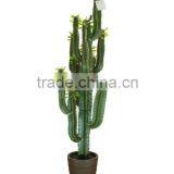 Artificial Cactus 1440