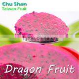 Taiwan Fresh Red Dragon Fruit for Sale thumbnail-2