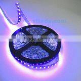 275nm uv Led,395nm uv Led Lamp,380nm uv Led Strip thumbnail-2
