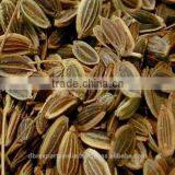 Dill Seed Oil thumbnail-1