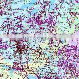 World GIS Mapinfo&ESRI Map/Tanzania Digital Map