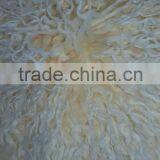 Acrylic AH T/B Mongolian Astra thumbnail-1