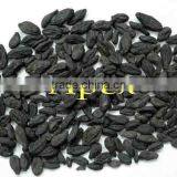 Herb-Terminalia Chebula ( Black Himej )