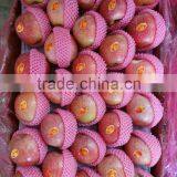 Unbagged Qinguan Apple thumbnail-3