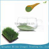 2015 Organic Wheat Grass Extract Powder thumbnail-1