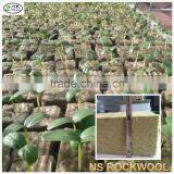 Rockwool Cubes for Hydroponics and Aeroponics thumbnail-2