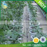 Garden Using Water Saving Drip Irrigation System