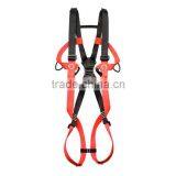 CE EN 361 Nylon Webbing Full Body Harness/Safety Beltfor Industrial Safety Rescue Outdoor Training