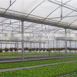 Hot Sale Multi Span Plastic Covered Fan Greenhouse thumbnail-3