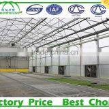 Industrail Ventilation Air Exhaust Fan for Greenhouse thumbnail-3