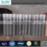 Stainless Steel Welded Wire Mesh for Fencing