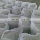 Pet Flakes Hot Wash / Pet Flakes Chip / Hot Washed Pet Flakes thumbnail-2