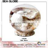 Glass Ball With Sea Life Water Inside Glass Stand YSG16 Home Decoration thumbnail-1