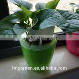 Hot Sale Colored Plastic Plant Marker Tag Wholesale thumbnail-5