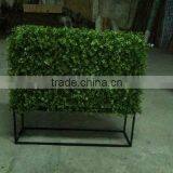 Artificial Outdoor and Indoor Boxwood Hedge for Decoration thumbnail-6