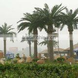 Outdoor Indoor Artificial Coconut Palm Tree UV Proof High Quality High Simulation Fake Palm Tree thumbnail-2