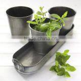 Plants Seeds Decorative Planters for Sale thumbnail-1