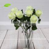 CNW FL-RS48-6CM Wholesale Fabric Kelly Rose Artificial Flowers On Sale thumbnail-1
