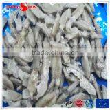 Frozen IQF North China Baby Squid thumbnail-6