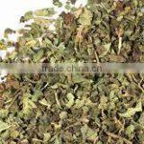 Carica Papaya Leaves thumbnail-4